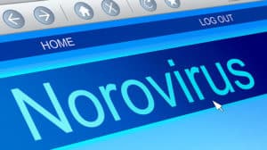 Norovirus Infektion erkennen und rechtzeitig behandeln