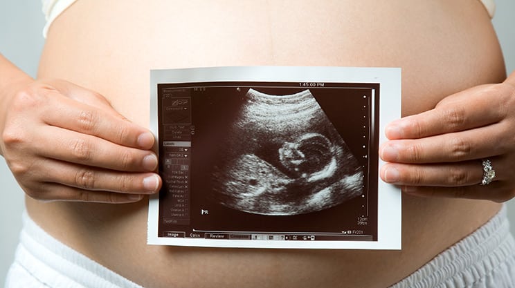 Die Schwangerschaft in der 6. Woche – das Baby bewegt sich