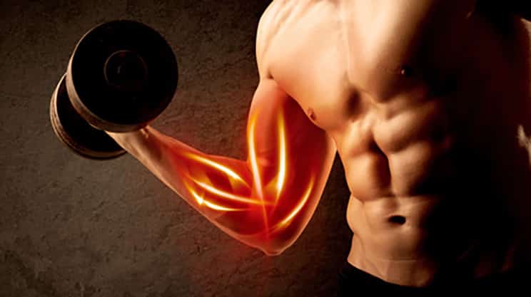 Muskeln gezielt aufbauen – auf die Ernährung kommt es an
