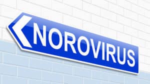 Noroviren-sind-wieder-auf-dem-Vormarsch