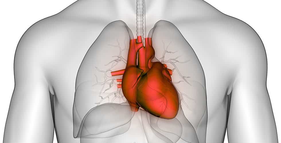Wie gefährlich ist eine Entzündung des Herzmuskels?