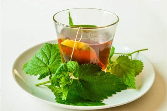 Welcher Tee bei einer Blasenentzündung ist besonders hilfreich?
