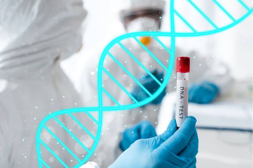 DNA – was den Menschen einzigartig macht